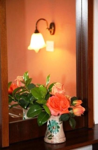 Triantafyllou Maria Rooms Skópelos Pokoj fotografie